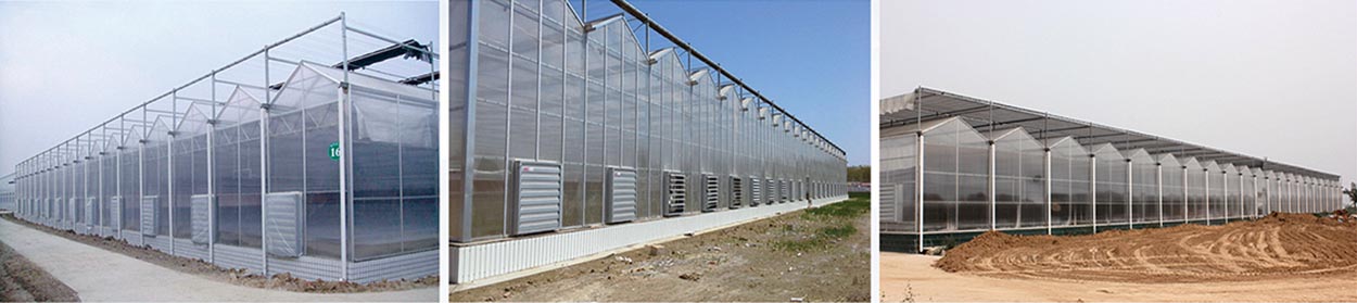 628df2216877e.jpg 1.jpg