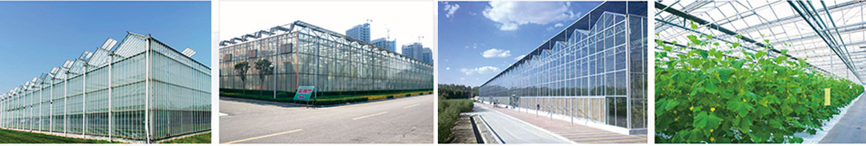 6290819a5086c.jpg 1.jpg