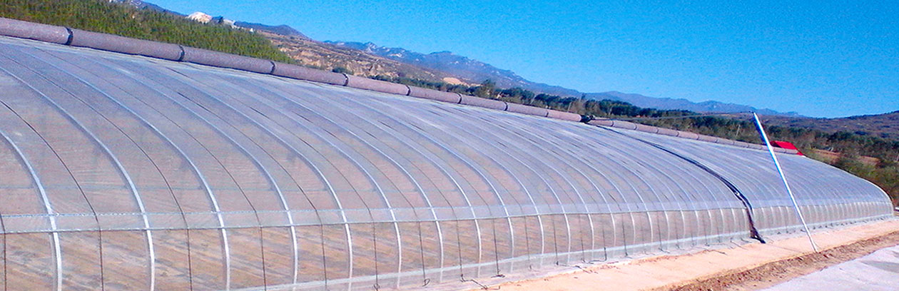 62908447bf2c1.jpg 1.jpg