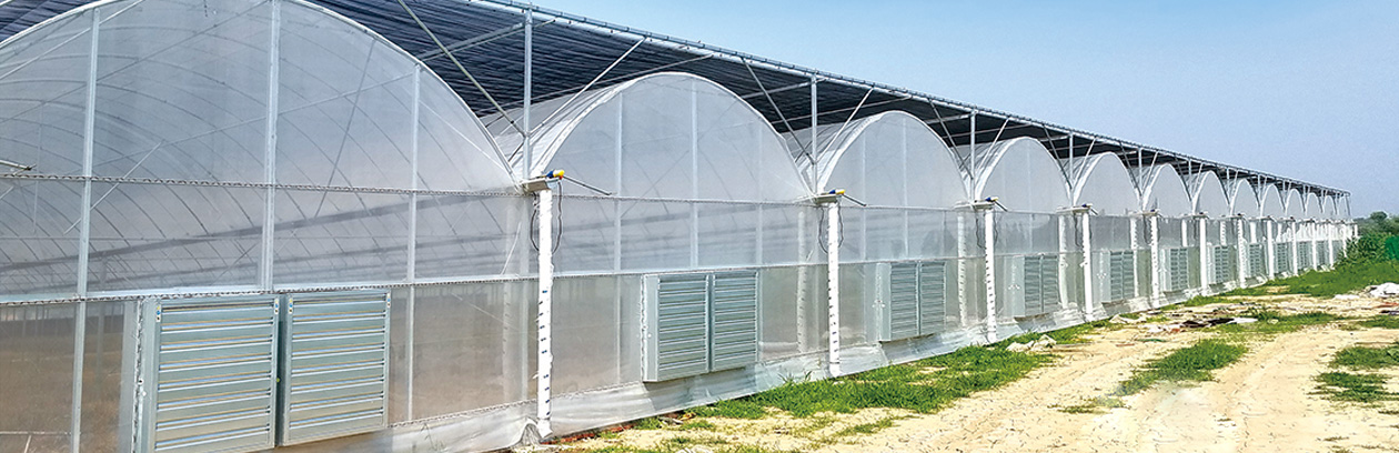 62908721d16c7.jpg 1.jpg