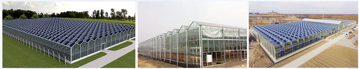 6290911459b5b.jpg 1.jpg