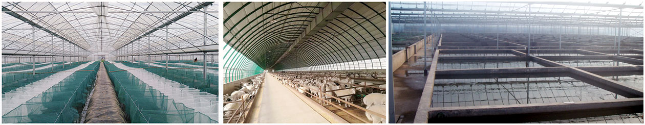 629091f232d0c.jpg 1.jpg