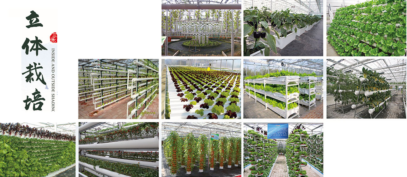 629094623b0a8.jpg 1.jpg