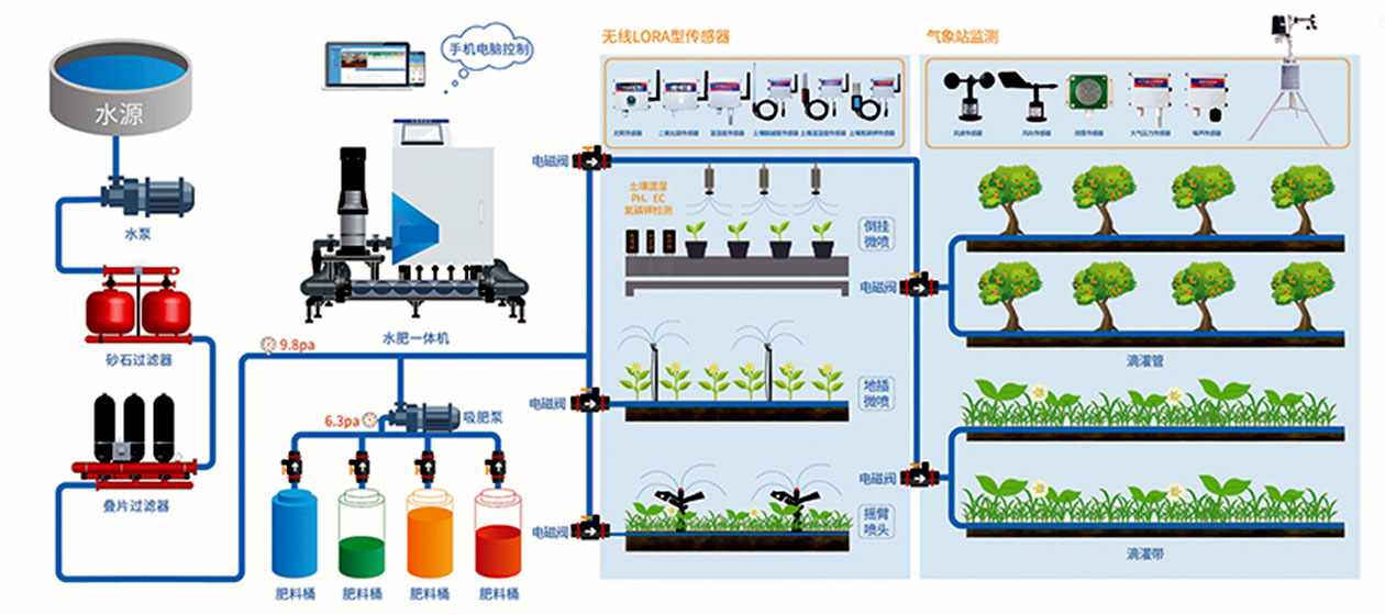 62909eec8e9e9.jpg 1.jpg