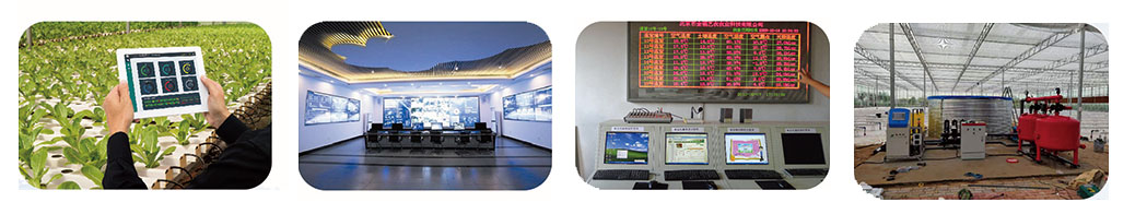 629310de0622d.jpg 1.jpg