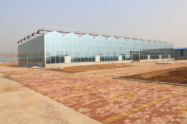 玻璃智能溫室