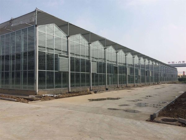 玻璃智能溫室