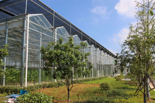 玻璃智能溫室