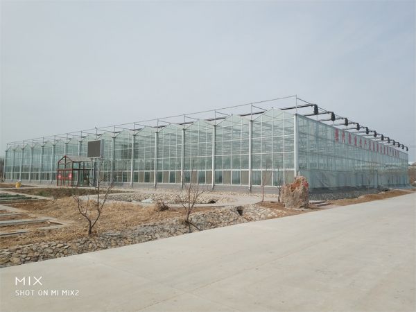 玻璃智能溫室