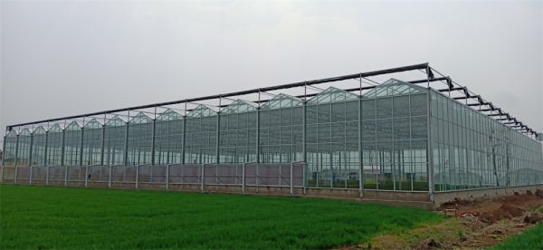 玻璃智能溫室