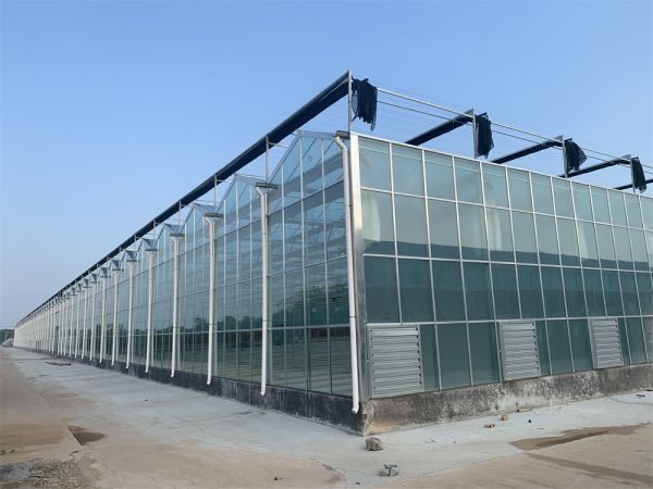 玻璃智能溫室