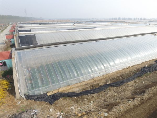 冬暖式大棚