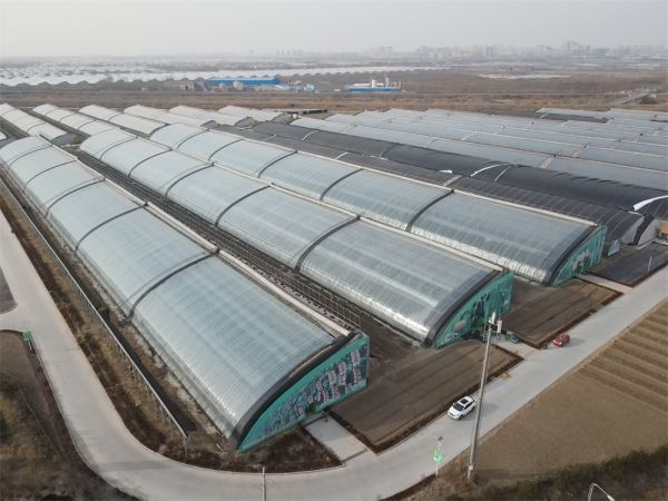冬暖式大棚