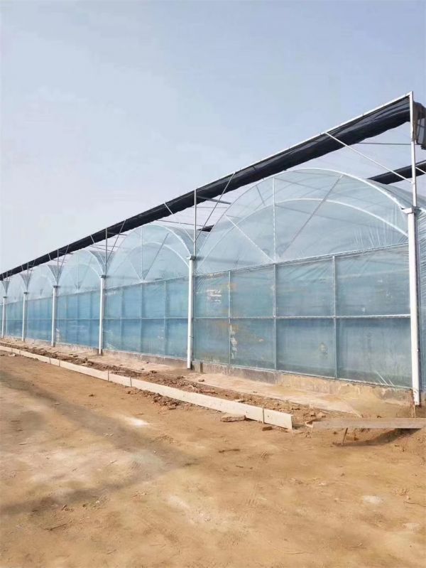 薄膜連棟溫室