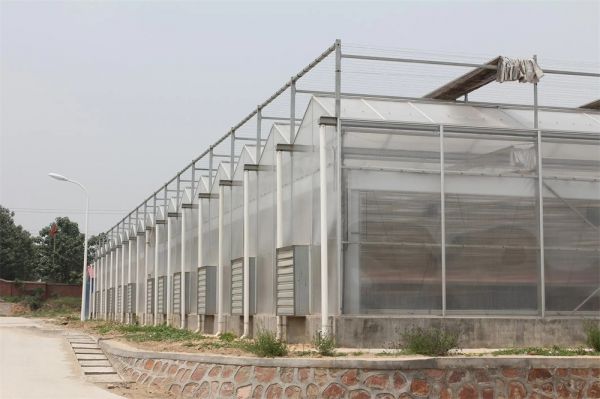 pc陽(yáng)光板智能溫室