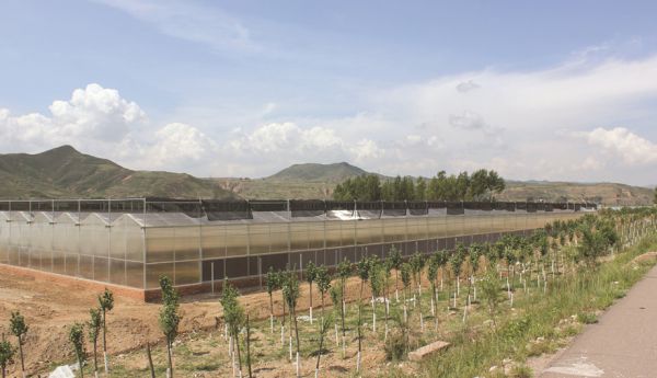 pc陽(yáng)光板智能溫室