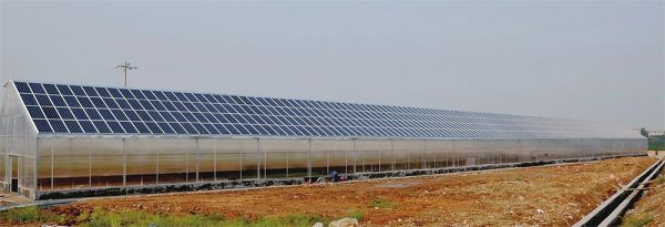 光伏溫室
