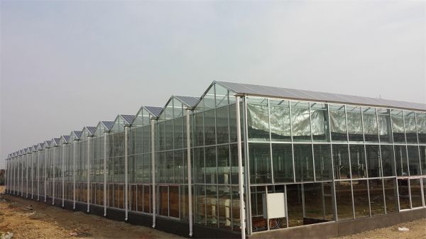 光伏溫室大棚