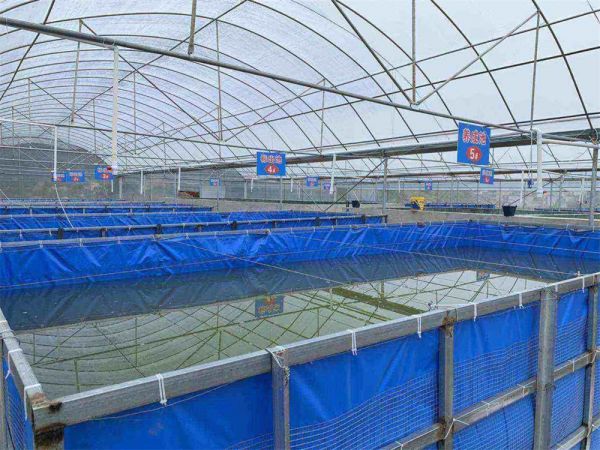 養(yǎng)殖溫室