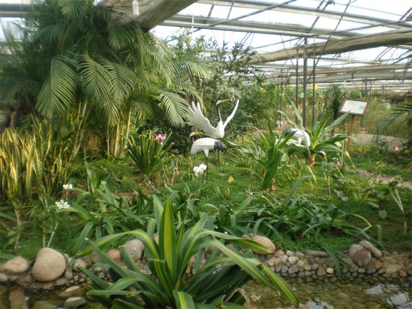 生態(tài)溫室餐廳