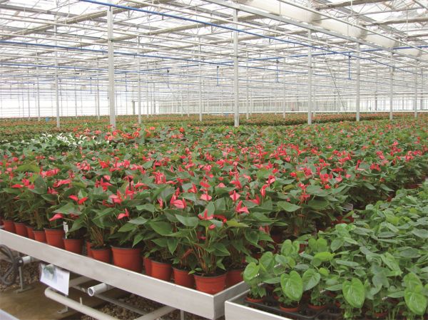 溫室配件及系統(tǒng)