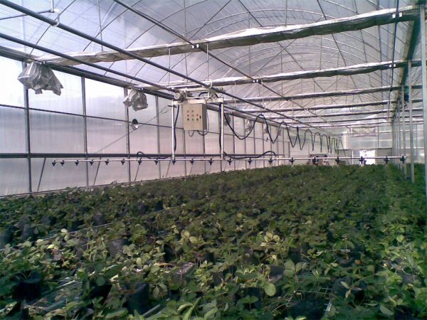 溫室配件及系統(tǒng)