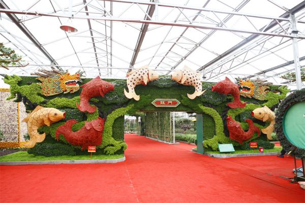 立體栽培與景觀