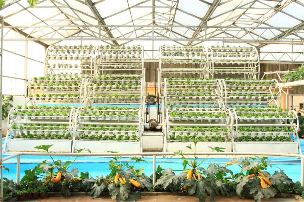 立體栽培與景觀