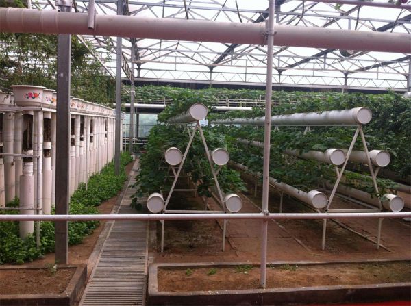 立體栽培與景觀