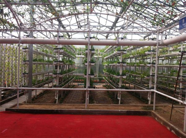 立體栽培與景觀