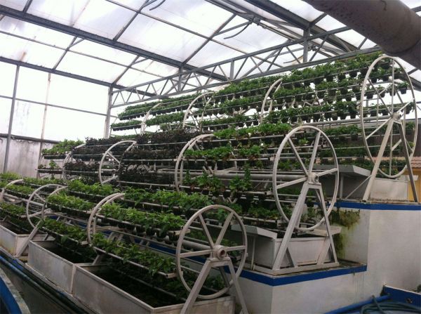 立體栽培與景觀